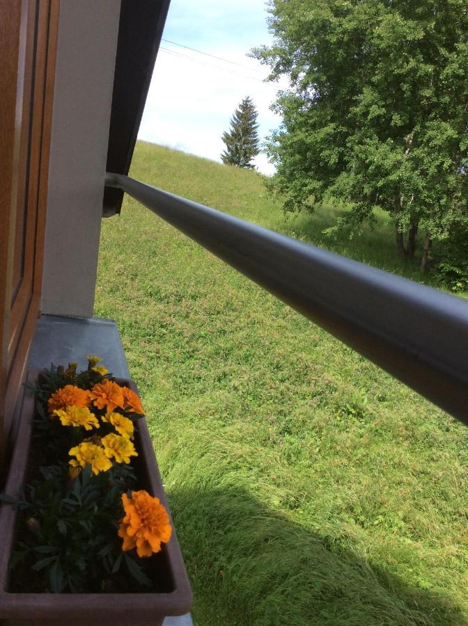 Apartman Odolov Jestrebi Hory Male Svatonovice Dış mekan fotoğraf